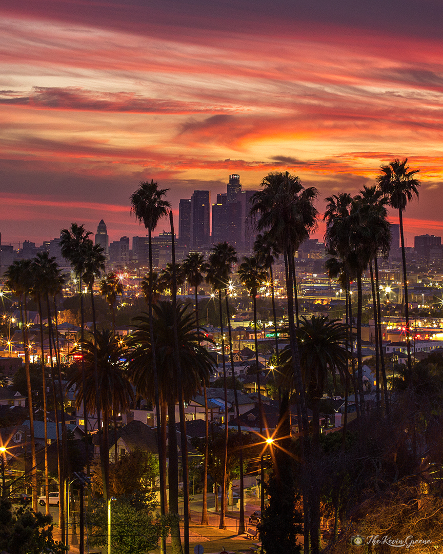 LA Palm Sunset Blend – TheKevinGreene